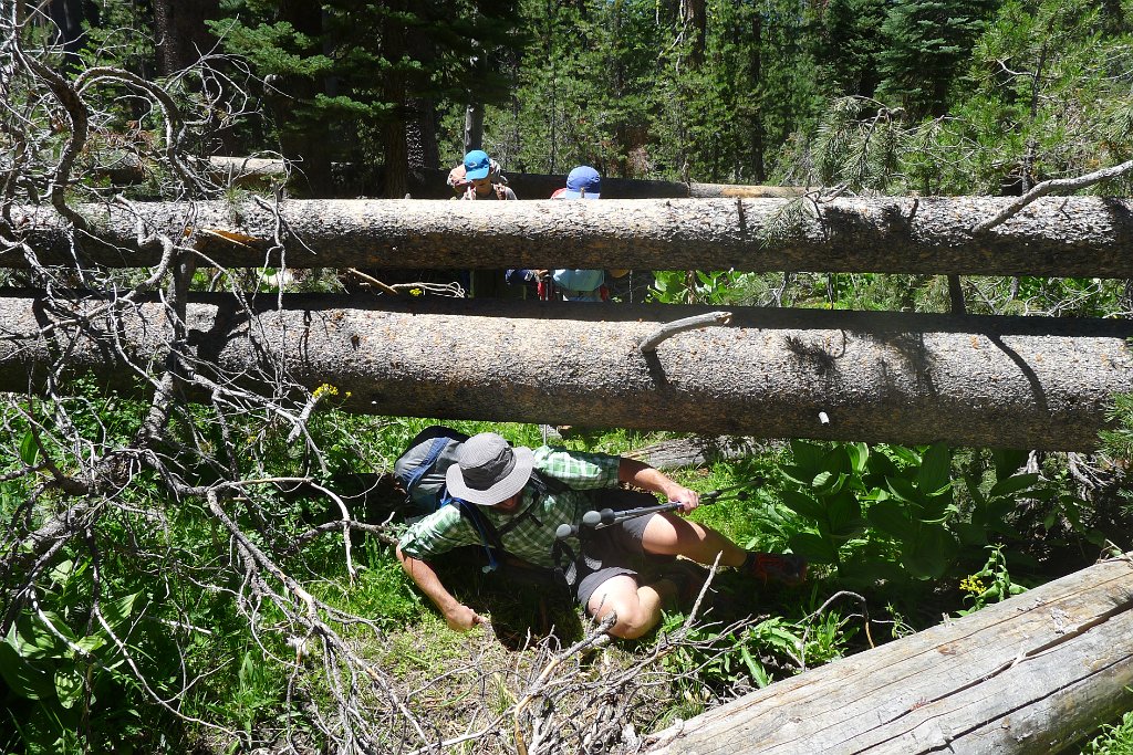 YosemiteCreek 007